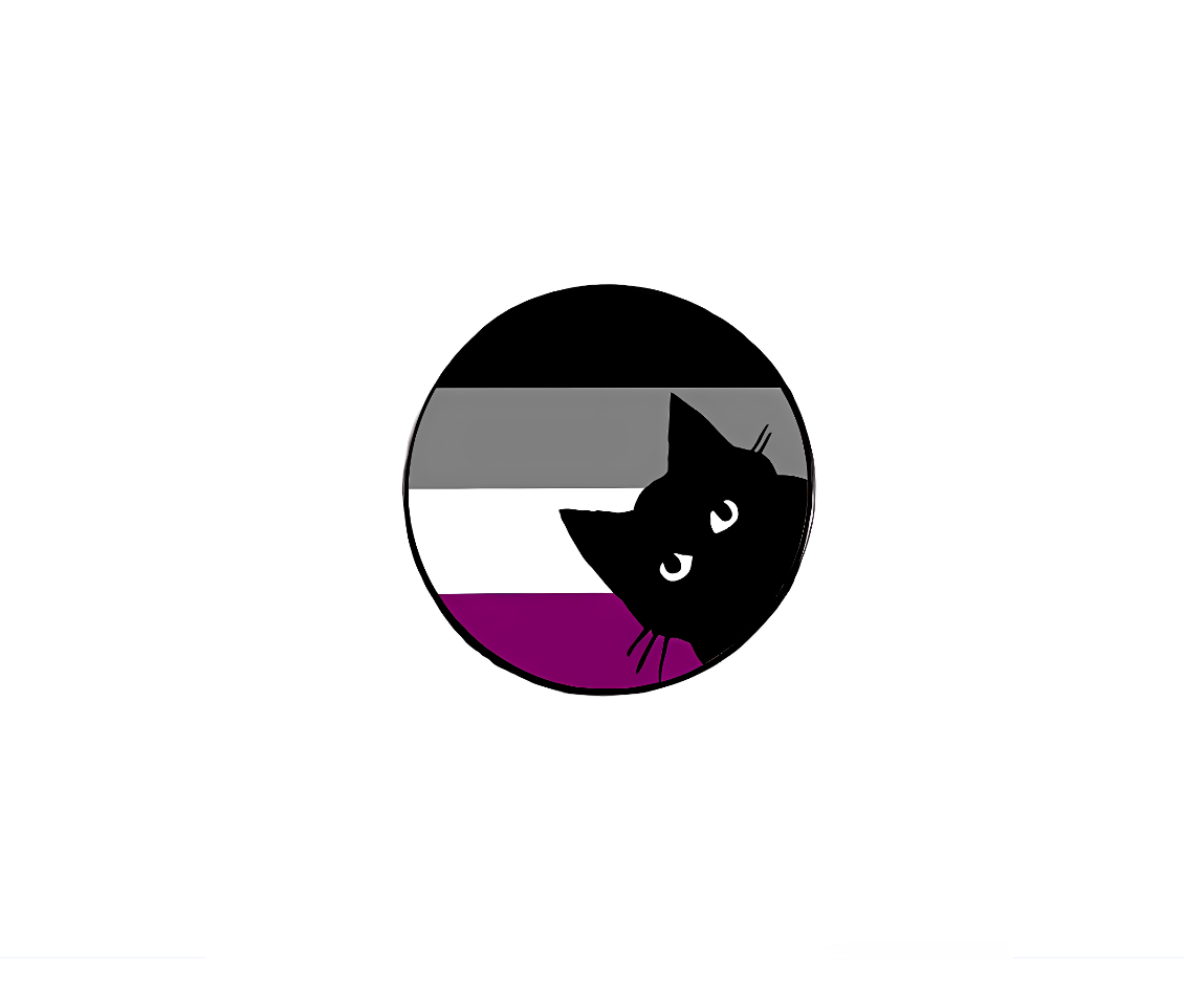 Black Cat Asexual Pin