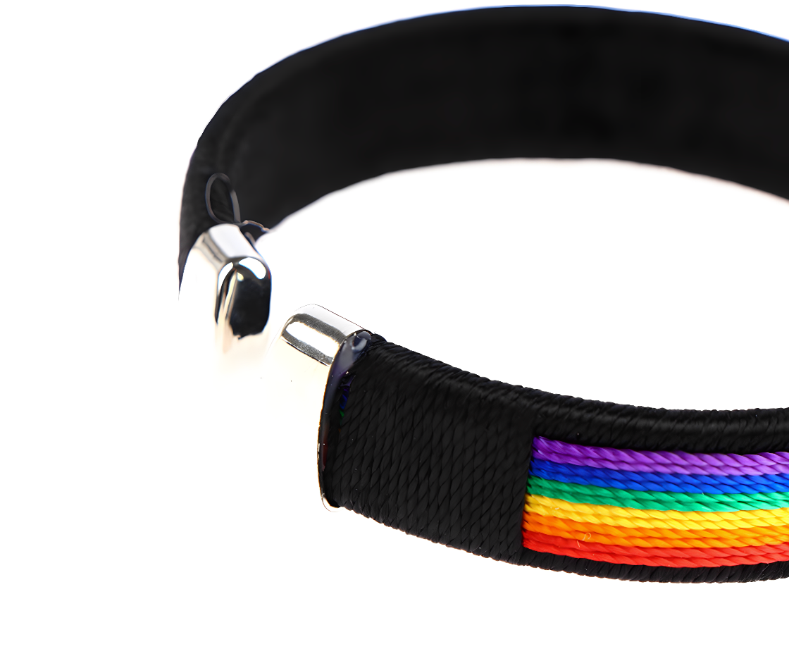 Rope Pride Bracelet