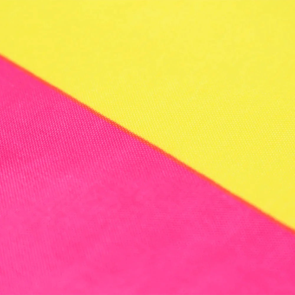 Pansexual Flag