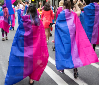Bisexual Flag 