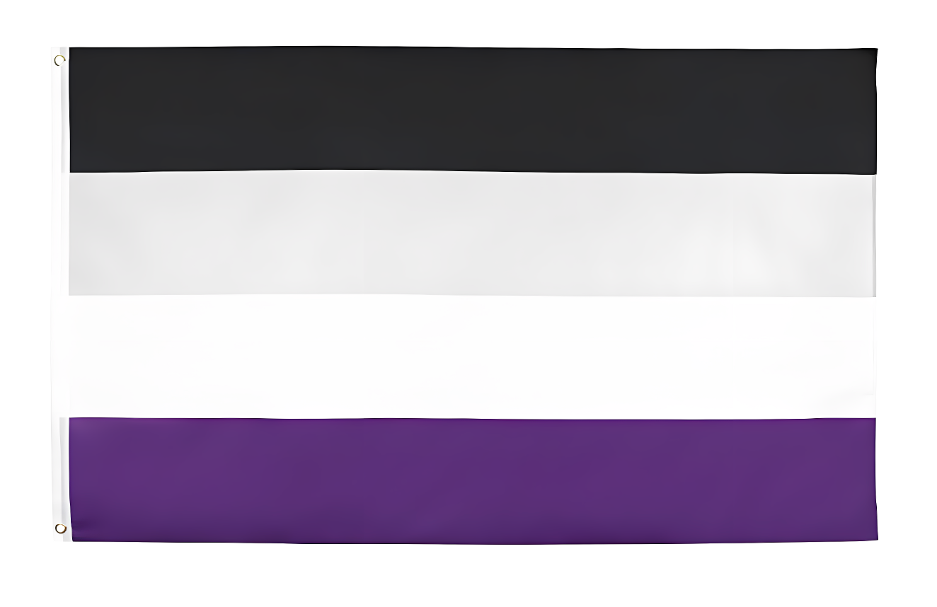 Asexual Flag
