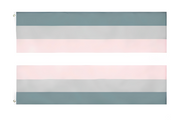 Demigirl Flag