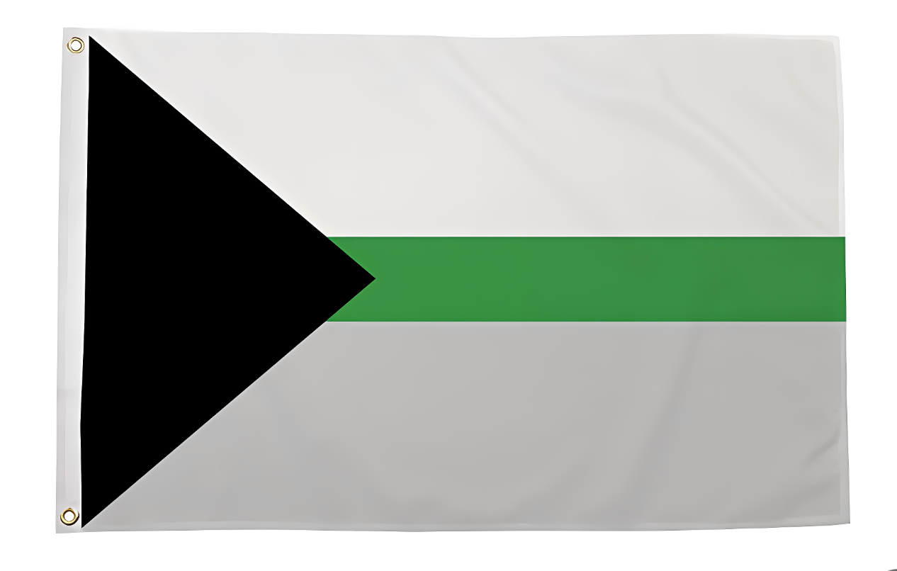 Demiromantic Flag 