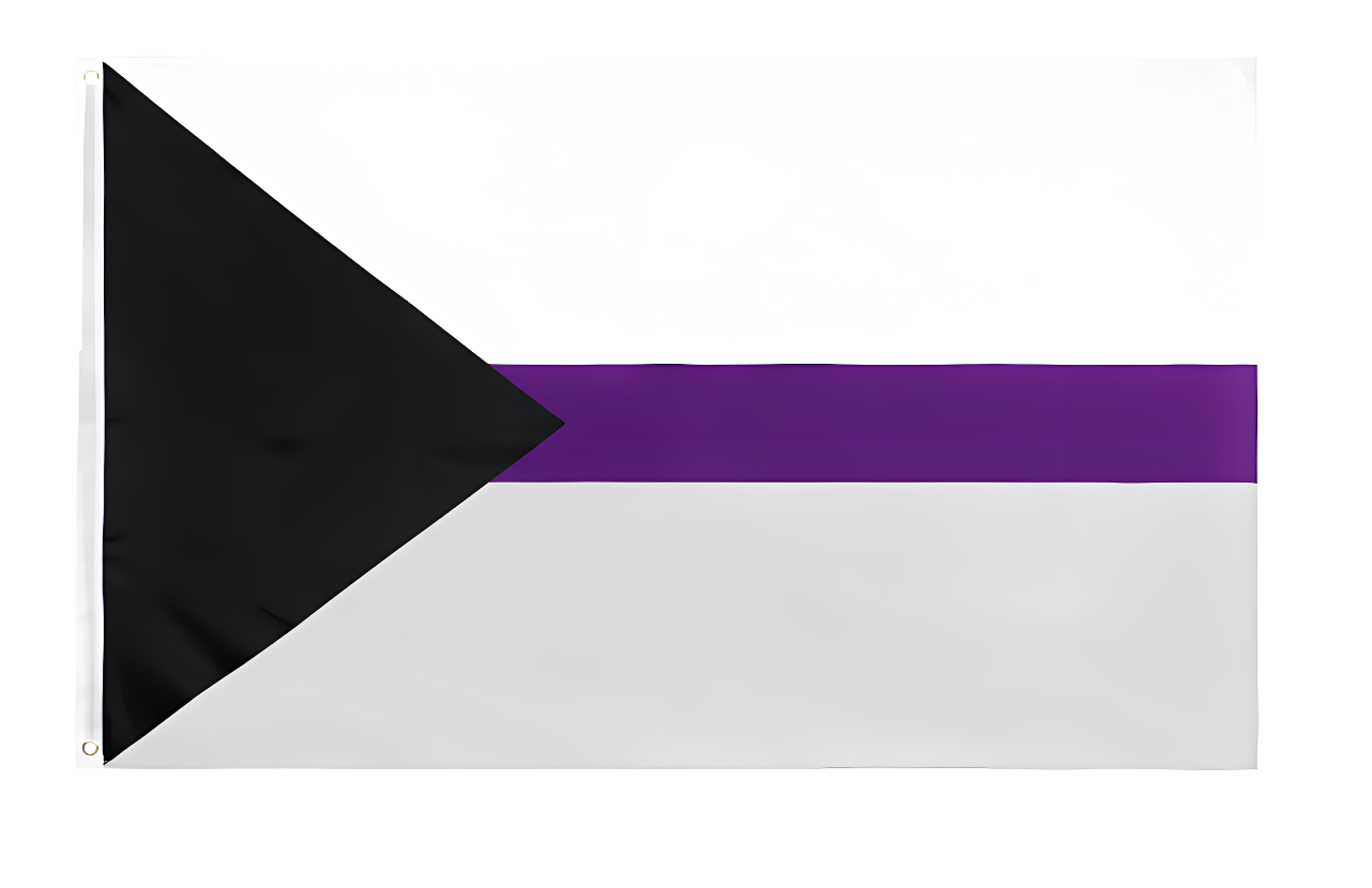 Demisexual Flag