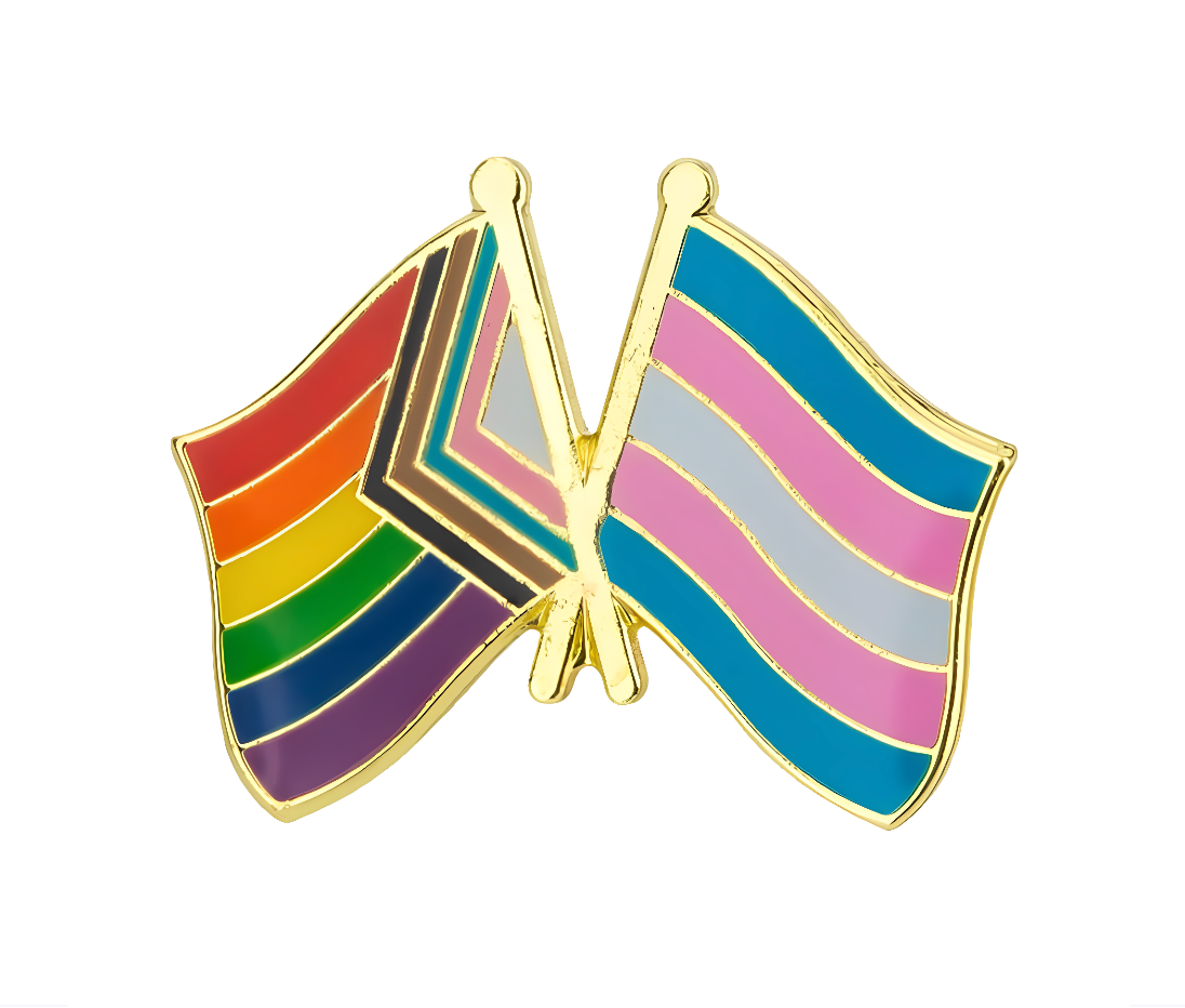 Flag Pride Progress Transgender Pin