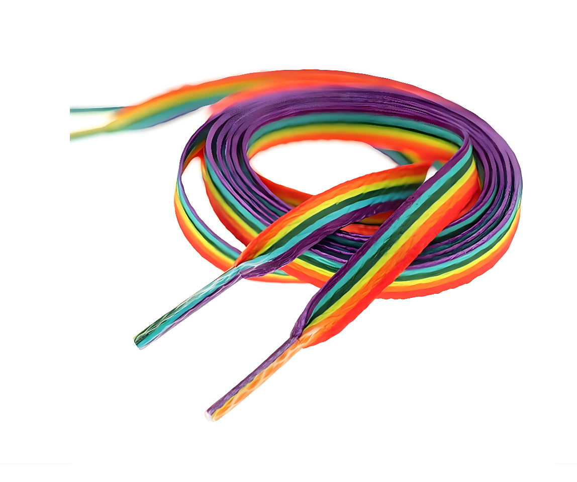 Rainbow Shoelaces