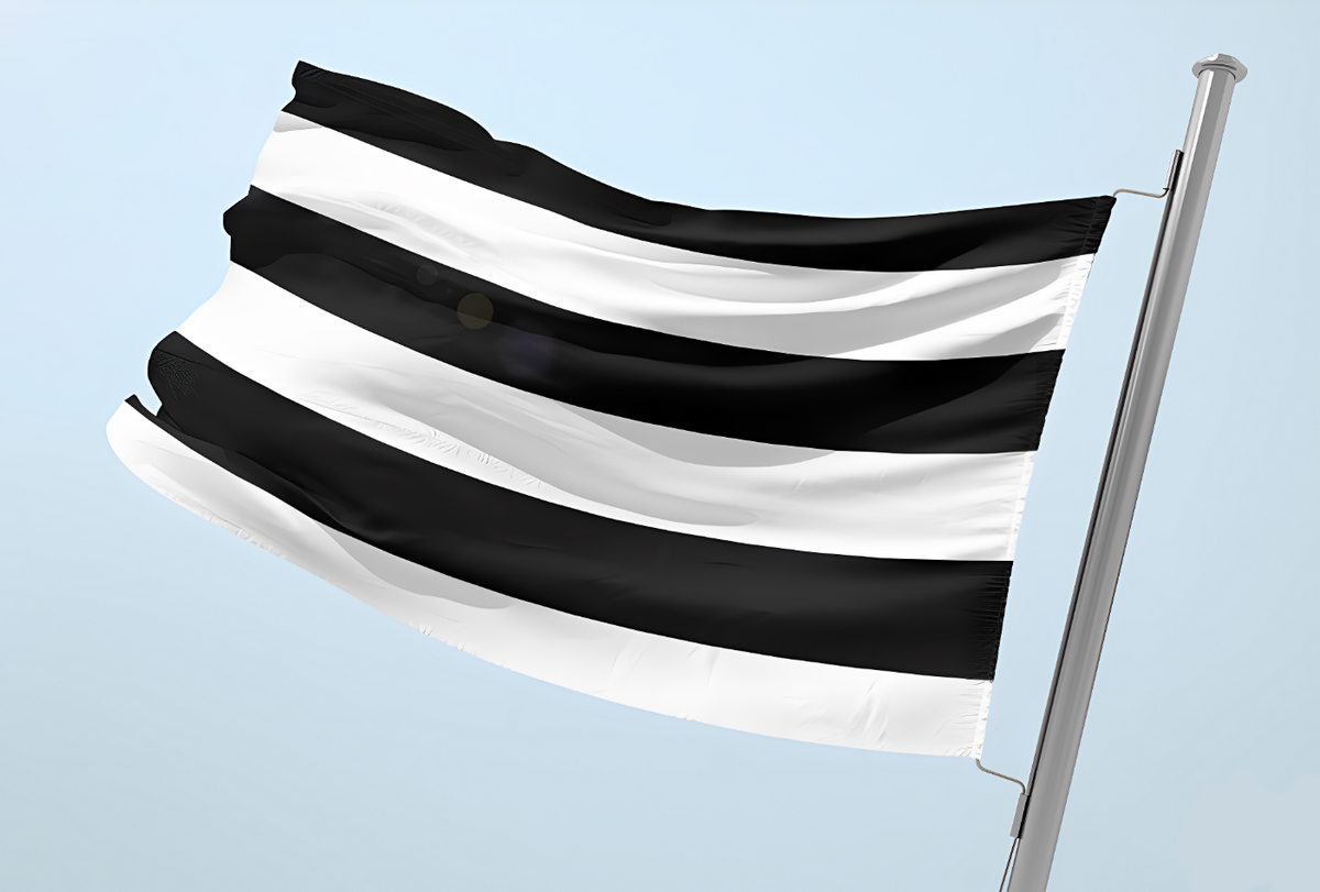 Flag Using Straight Line Straight Flag | Proud Lgbt 🏳️🌈