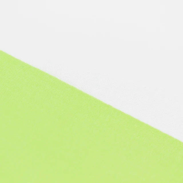 Aromantic Flag