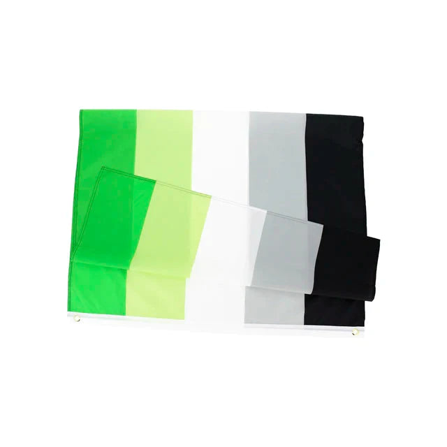 Aromantic Flag