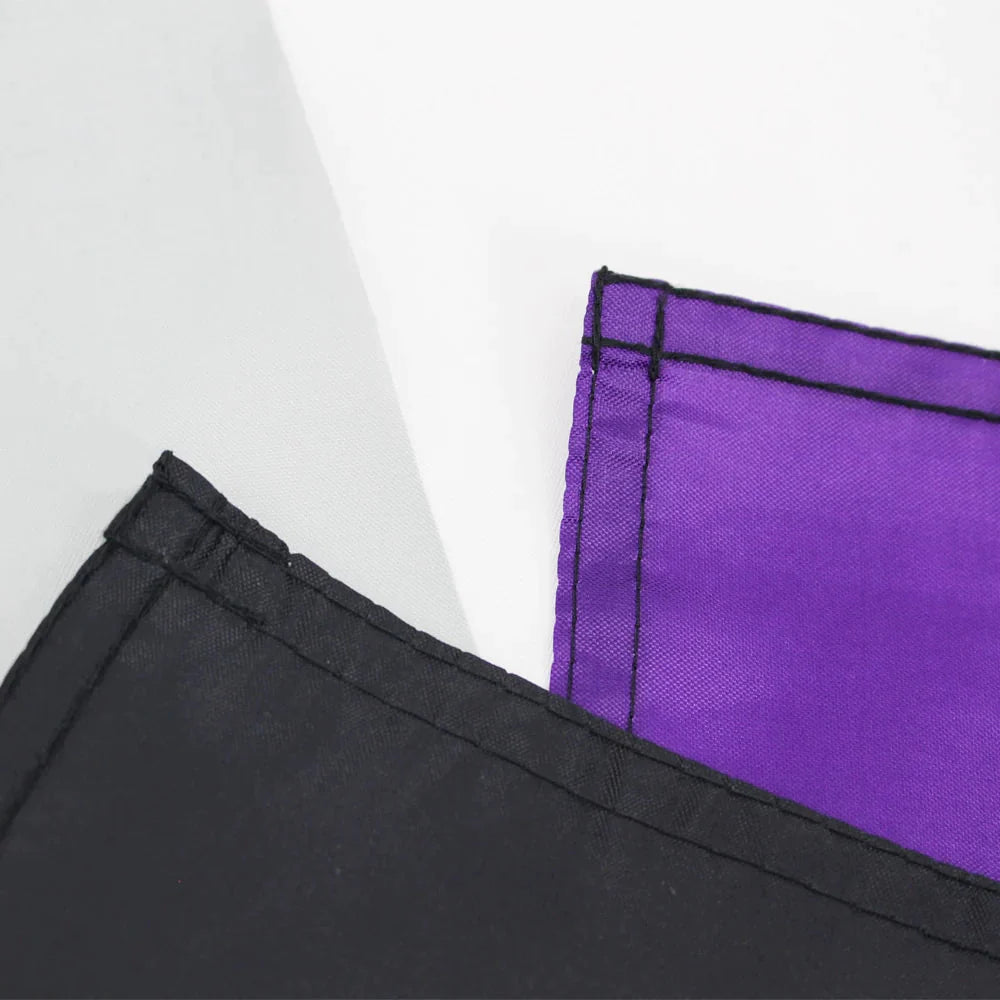 Asexual Flag
