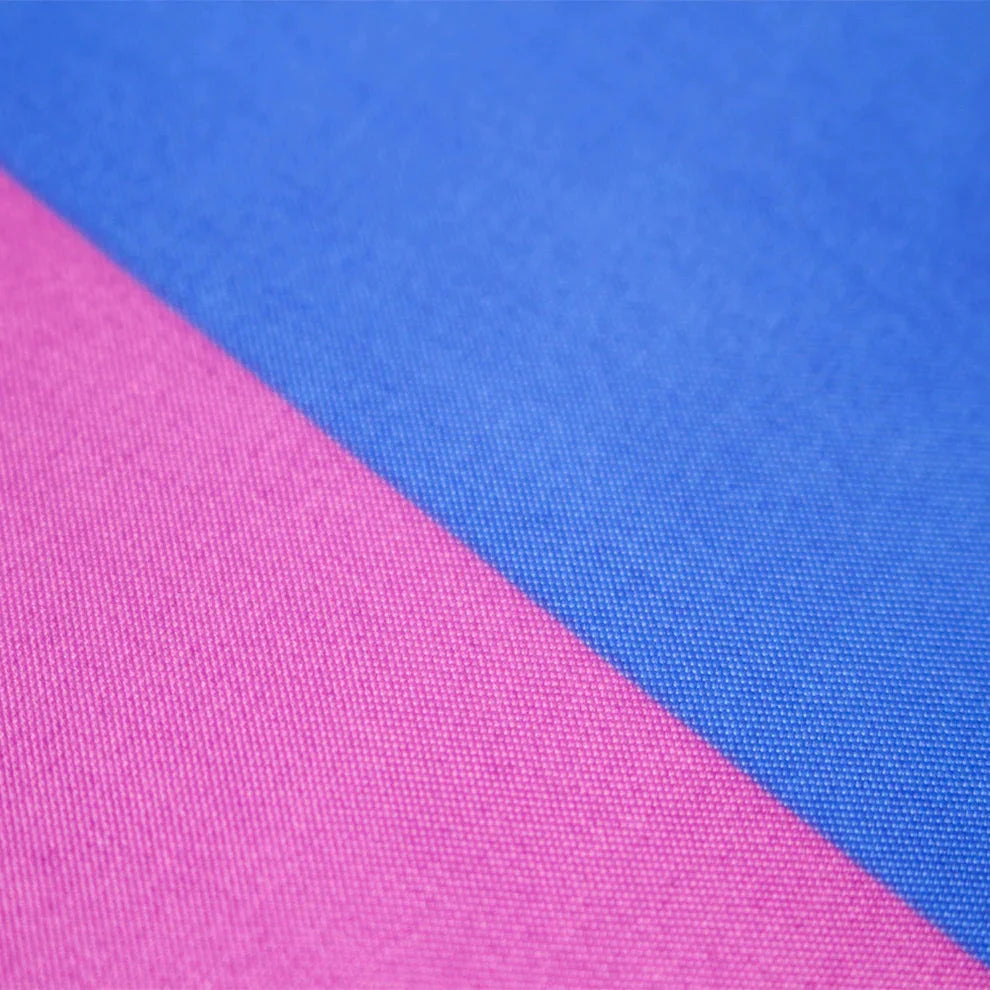 Bisexual Flag