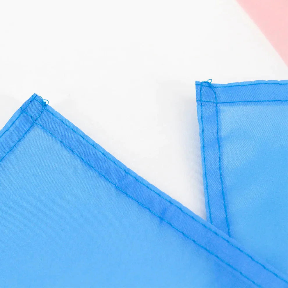 Transgender Flag